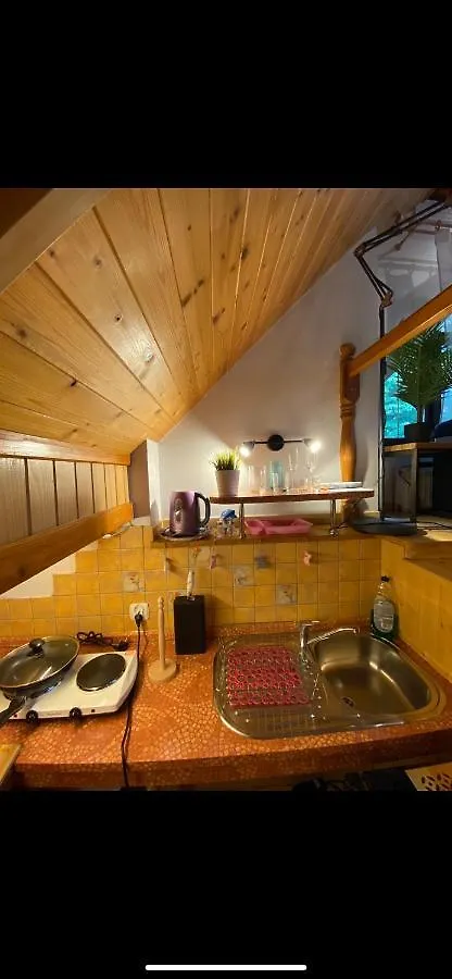 Goralska Osada Karpacz - Apartametny Appartement